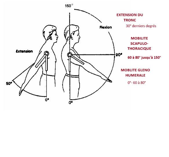 Flexion Elbow RANGE OF JOINT MOTION EVALUATION