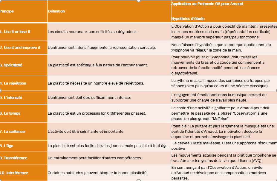PLasticité cérébrale les 10 principes de Kleim et Jones (2008)